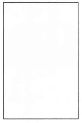 Проняев Александр Юрьевич