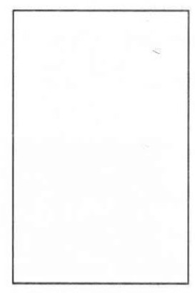 Сапенский Дмитрий Викторович