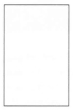 Степкин Александр Николаевич